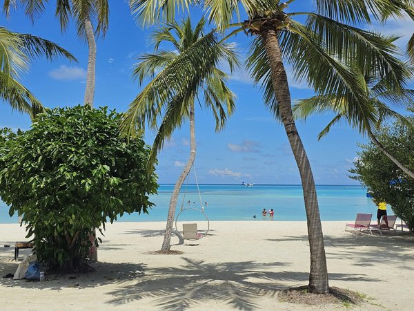 What Are the Most Underrated Experiences on a UK Cruise Tour?